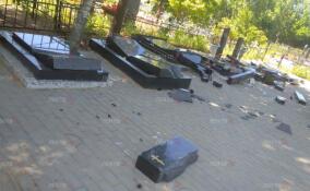 Появились кадры разбитых вандалами надгробий в Красном Бору