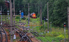 Электропоезд насмерть сбил двух мужчин на ж/д станции в Толмачево