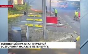 Тополиный пух стал причиной возгорания на АЗС в Петербурге