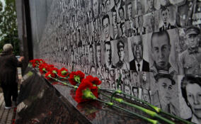 К 82-й годовщине начала Великой Отечественной войны в Ленобласти пройдёт ряд мероприятий