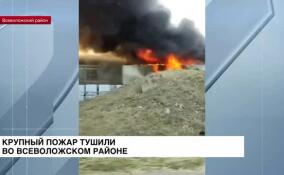 Крупный пожар тушили во Всеволожском районе