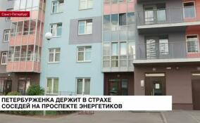 Петербурженка держит в страхе соседей на проспекте Энергетиков