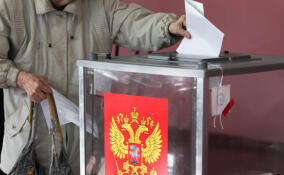 Ленобласть и Выборы-2024: АПЭК опубликовал любопытный доклад о 47 регионе РФ