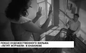В культурно-досуговом центре им. 40-летия Победы в Енакиево состоялся показ фильма «Летят журавли»