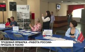 Трудовая ярмарка «Работа России» прошла в Тосно