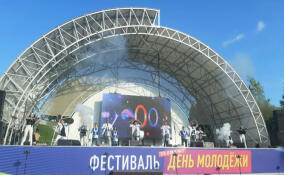 Во всеволожском парке "Песчанка" прошел фестиваль в честь Дня молодёжи