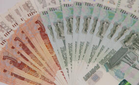 В Ленобласти увеличат бюджетное финансирование грантовых конкурсов для социально ориентированных НКО региона