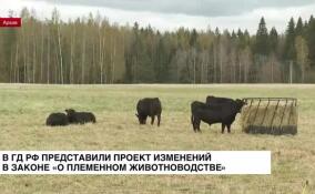 В ГД РФ представили проект изменений в законе «О племенном животноводстве»