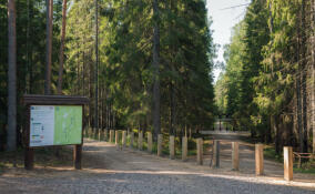 Экологические маршруты на ООПТ Ленобласти закрыты для посещения