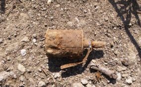 В СНТ Выборгского района нашли ручную гранату времен Великой Отечественной войны