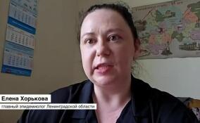 Елена Хорькова рассказала, насколько чума опасна для человека