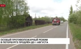 Действие особого противопожарного режима в Петербурге продлили до 1 августа