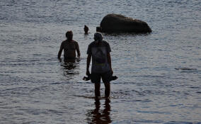 МЧС назвало 32 безопасных пляжа Ленобласти
