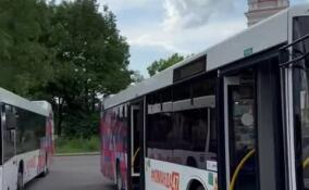 Стало известно, на какие межмуниципальные маршруты выйдут новые автобусы в Ленобласти