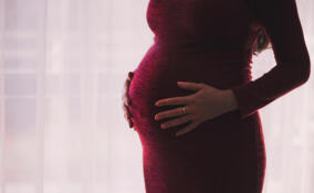 В Петербурге и Ленобласти пособие по беременности и родам получили более 30 тысяч женщин
