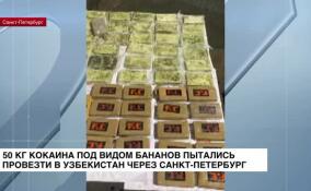 50 кг кокаина под видом бананов пытались провезти в Узбекистан через Петербург