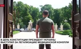В День конституции президент Украины выступил за легализацию медицинской конопли
