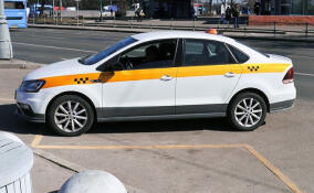 Белый цвет и желтые полосы: все такси Ленобласти приведут к единому стилю