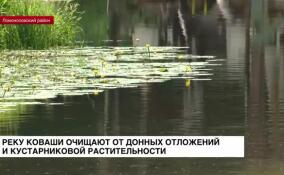 Реку Коваши очищают от донных отложений и кустарниковой растительности
