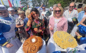 Вице-губернатор по внутренней политике Анна Данилюк побывала на ежегодном празднике Сабантуй