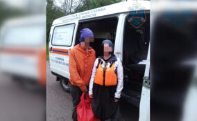 Спасатели вывели из леса под Приозерском заблудившуюся женщину