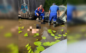 Из реки Свирь в районе посёлка Вознесенье достали тело человека