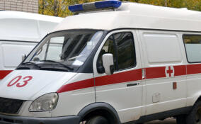 Металлическая балка упала с ремонтируемого дома и придавила ребенка в Щеглово