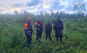 Спасатели пришли на выручку к пожилому мужчине, который потерялся в ночном лесу в Ленобласти