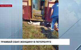 Трамвай сбил женщину в Приморском районе Петербурга