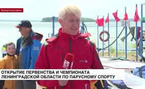 В Приморске состоится открытие Чемпионата и Первенства Ленобласти по парусному спорту