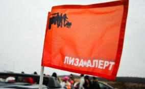 Более 300 человек пропали в июне в Петербурге и Ленобласти