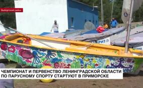 Чемпионат и первенство Ленобласти по парусном спорту стартуют в Приморске