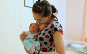 Власти Ленобласти заявили о неправильном сборе статистики по рождаемости в регионе