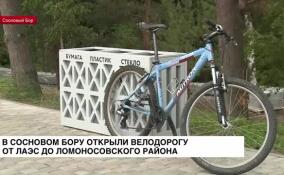 В Сосновом Бору открыли велодорогу от ЛАЭС до Ломоносовского района
