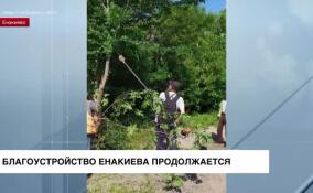 Сотрудники муниципального управления продолжают наводить порядок в Енакиево