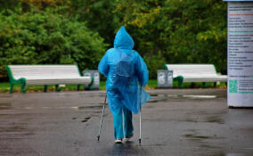 В полосе атмосферного фронта: грозы и дожди ожидаются в Петербурге