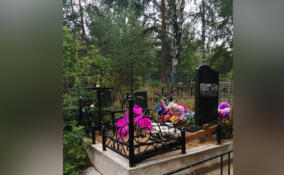 Исчезнувшие надгробия на кладбище в Шлиссельбурге вернули после вмешательства прокуратуры