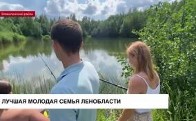 8 июля в России отмечается День семьи, любви и верности