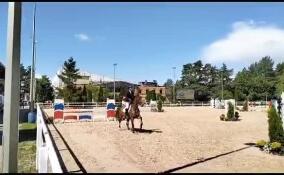 В Энколово проходят Всероссийские соревнования по конному спорту на Кубок губернатора Ленобласти