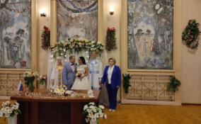 В День семьи, любви и верности в Ленобласти стало на 134 семьи больше