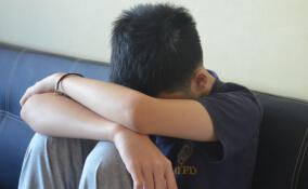 Девятиклассника задержали за надругательство над мальчиком в Сосновом Бору
