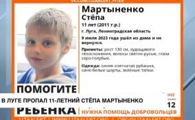 В Луге пропал 11-летний Степа Мартыненко