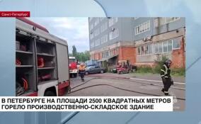 Спасатели локализовали пожар на складе в Калининском районе Петербурга