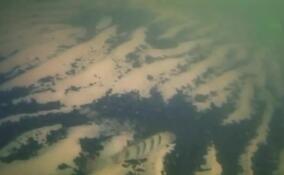 Подводный мир Ладожского озера впервые в объективе дрона – видео