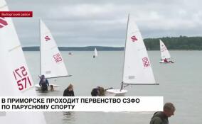 В Приморске проходит первенство СЗФО по парусному спорту