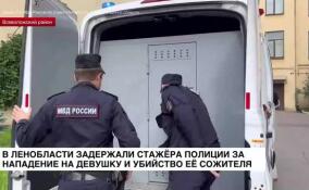 В Ленобласти задержали стажера полиции за нападение на девушку и убийство ее сожителя в Кудрово