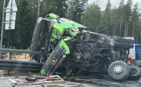 Два человека погибли в ДТП с грузовиками и Porsche на ЗСД