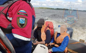За неделю в Ленобласти спасли 17 человек при происшествиях на воде