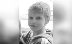 Найдено тело пропавшего в Ленобласти 11-летнего мальчика