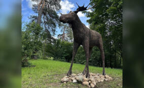 В Приоратском парке Гатчины установили полутораметровую фигуру лося